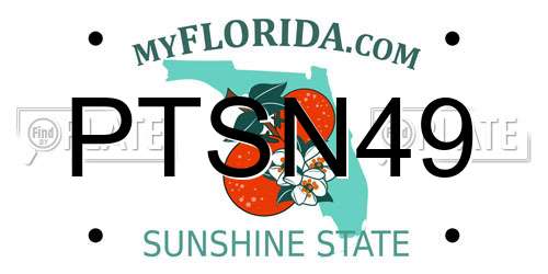 PTSN49 Florida License Plate
