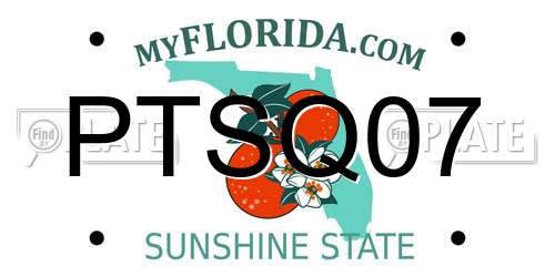 PTSQ07 Florida License Plate