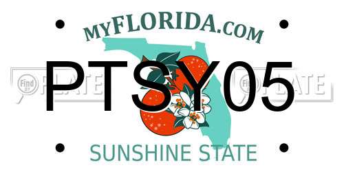 PTSY05 Florida License Plate