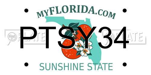 PTSY34 Florida License Plate