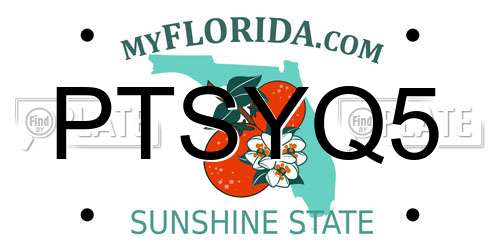 PTSYQ5 Florida License Plate