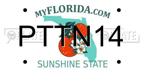 PTTN14 Florida License Plate