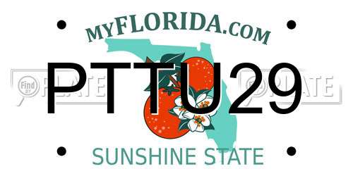 PTTU29 Florida License Plate