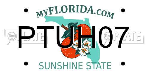 PTUH07 Florida License Plate