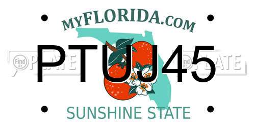 PTUJ45 Florida License Plate