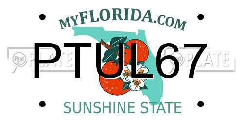 PTUL67 Florida License Plate