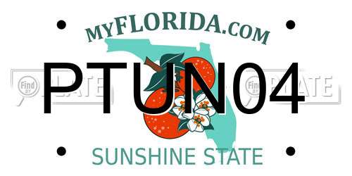 PTUN04 Florida License Plate