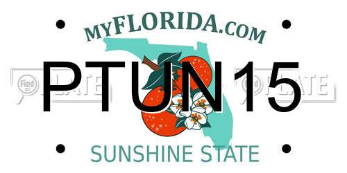 PTUN15 Florida License Plate