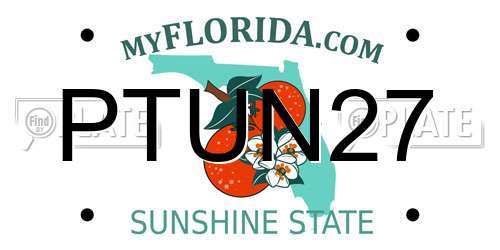 PTUN27 Florida License Plate
