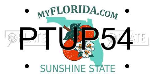 PTUP54 Florida License Plate