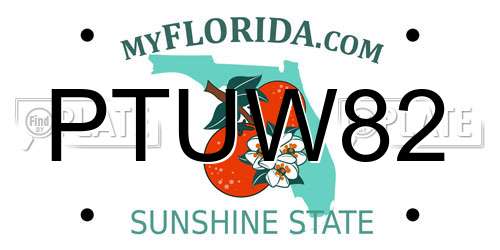 PTUW82 Florida License Plate