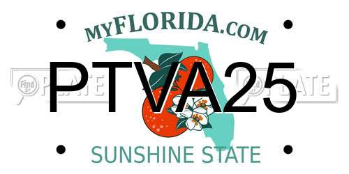 PTVA25 Florida License Plate