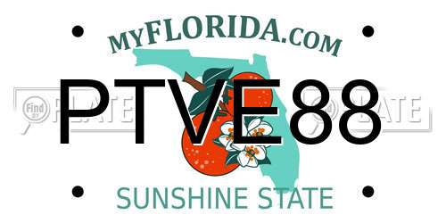 PTVE88 Florida License Plate
