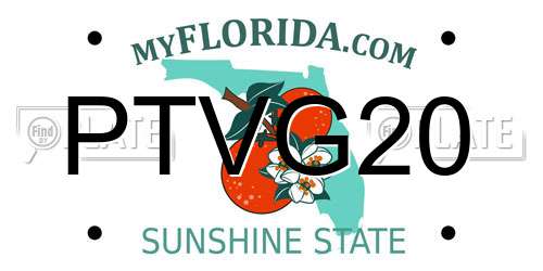 PTVG20 Florida License Plate