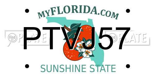 PTVJ57 Florida License Plate