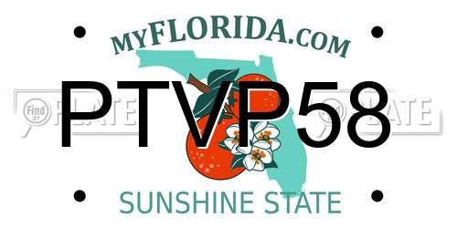 PTVP58 Florida License Plate