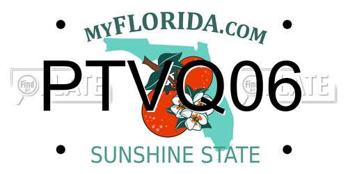 PTVQ06 Florida License Plate