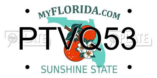 PTVQ53 Florida License Plate