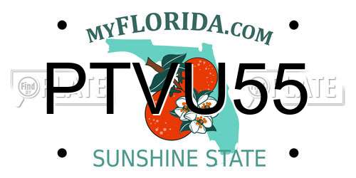 PTVU55 Florida License Plate