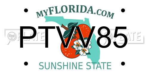 PTVV85 Florida License Plate