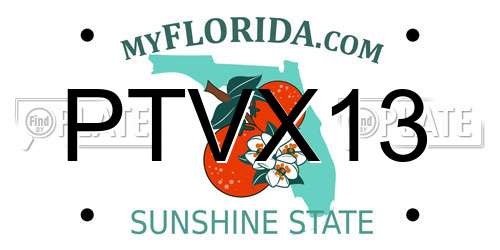 PTVX13 Florida License Plate
