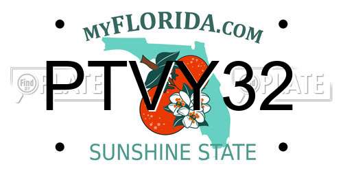 PTVY32 Florida License Plate