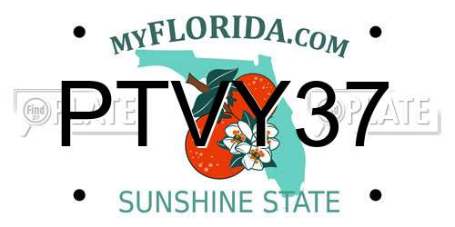 PTVY37 Florida License Plate