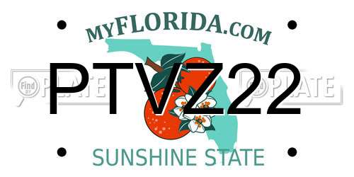 PTVZ22 Florida License Plate