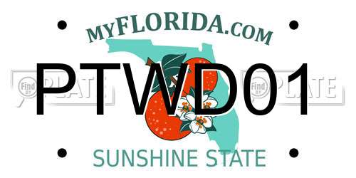 PTWD01 Florida License Plate