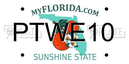 PTWE10 Florida License Plate