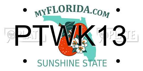 PTWK13 Florida License Plate