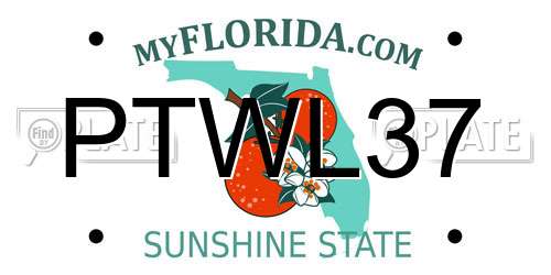 PTWL37 Florida License Plate