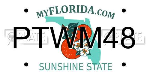PTWM48 Florida License Plate
