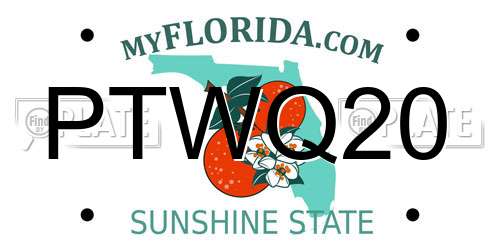 PTWQ20 Florida License Plate