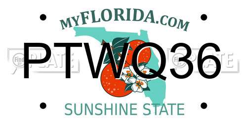 PTWQ36 Florida License Plate
