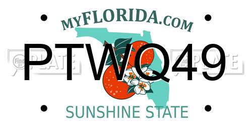 PTWQ49 Florida License Plate