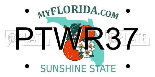 PTWR37 Florida License Plate