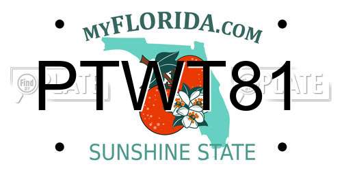 PTWT81 Florida License Plate