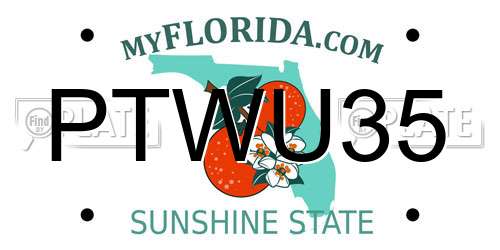 PTWU35 Florida License Plate