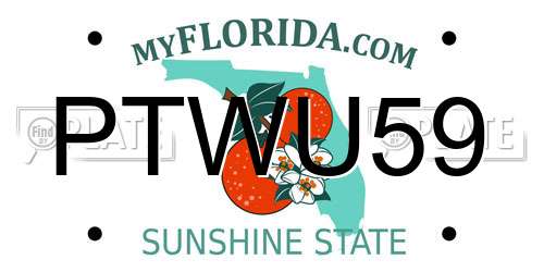 PTWU59 Florida License Plate