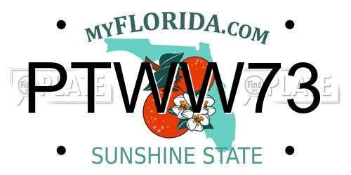 PTWW73 Florida License Plate