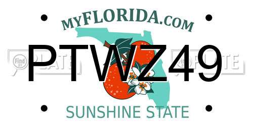 PTWZ49 Florida License Plate