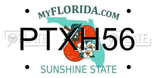 PTXH56 Florida License Plate
