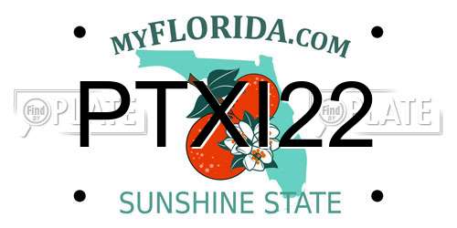 PTXI22 Florida License Plate