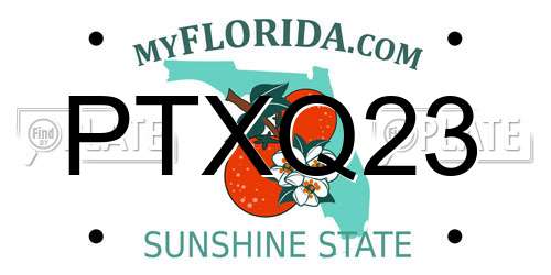 PTXQ23 Florida License Plate