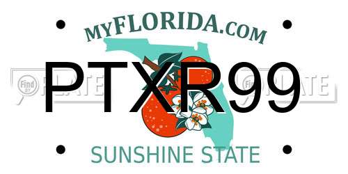 PTXR99 Florida License Plate