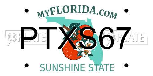 PTXS67 Florida License Plate