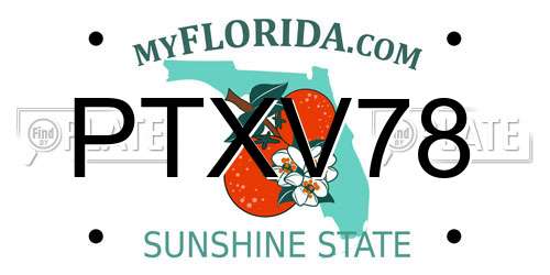 PTXV78 Florida License Plate