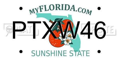 PTXW46 Florida License Plate