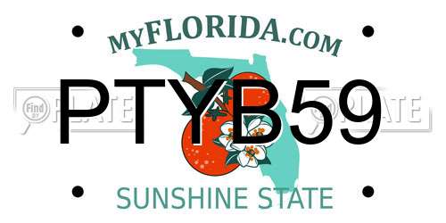 PTYB59 Florida License Plate